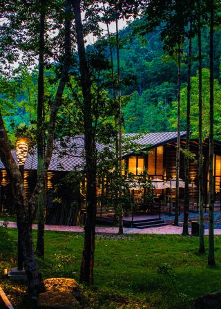 Chenzhou Forest Log Cabin Homestay | A Healing Holiday in a Painting