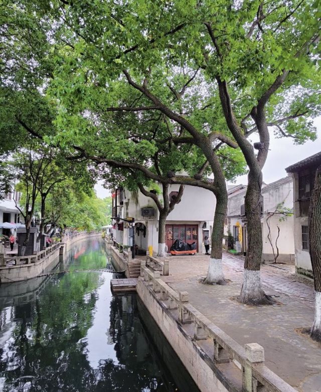 「搖櫓船穿梭15座宋橋！夜宿退思園慳返冷氣費」