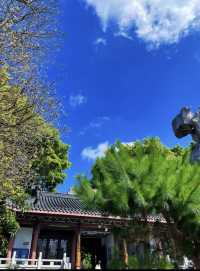 夏日限定惠州豐渚園荷花拍照天花板！