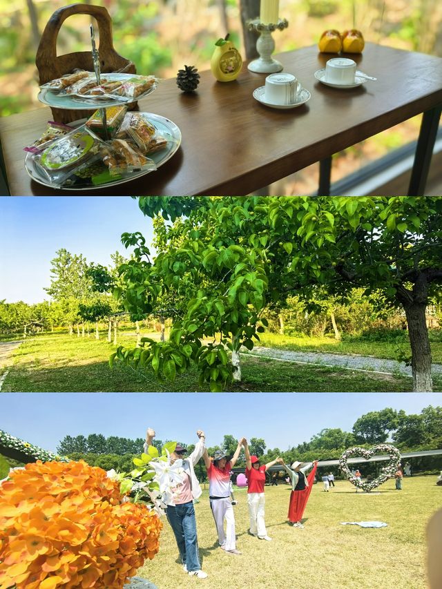 夏日嘅揚州，呢片松林同花海真係令人驚艷