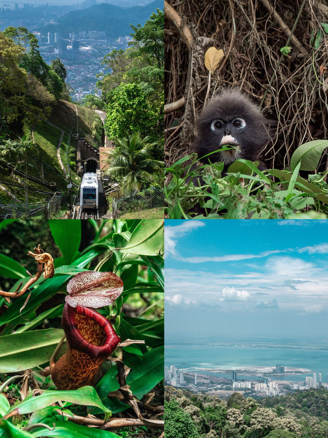 檳城升旗山 保姆級路線（附地圖）
