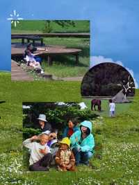 川西親子遊，帶娃不懼高山症嘅保姆級攻略