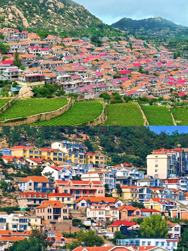 去青島！解鎖「紅瓦綠樹，碧海藍天」嘅極致浪漫