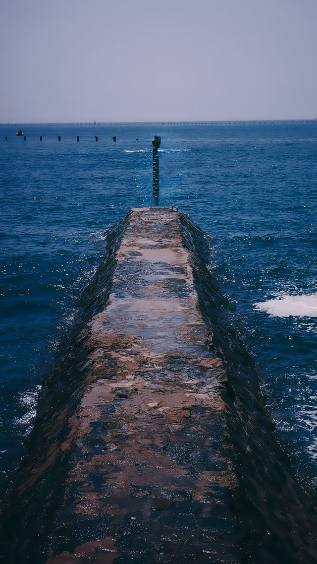 青島｜青島🩷