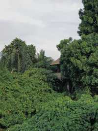置身山野嘅奢華體驗 Alila Ubud   酒店：阿麗拉 烏布  地址：Desa Meli
