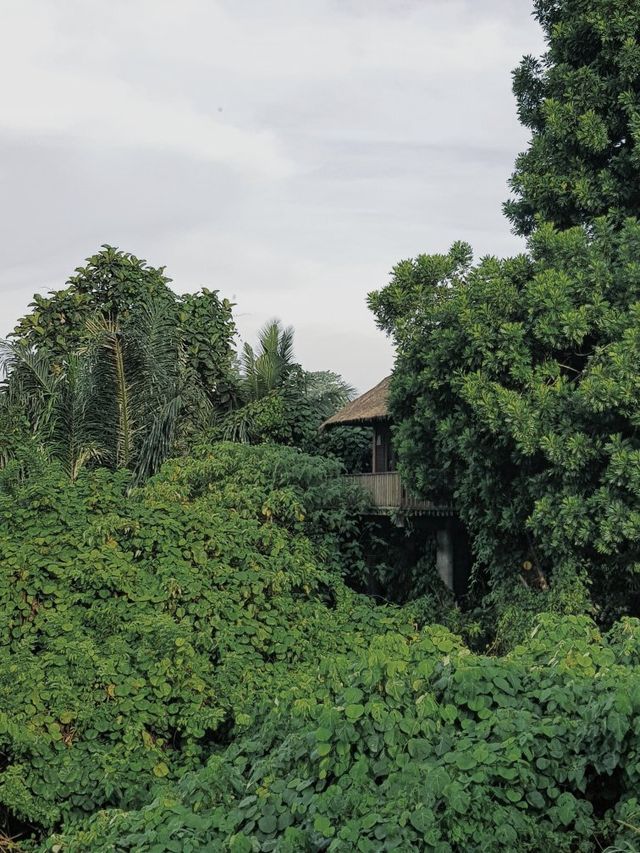 置身山野嘅奢華體驗 Alila Ubud   酒店：阿麗拉 烏布  地址：Desa Meli