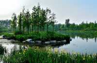 濟南森林公園 | 城市中的自然瑰寶