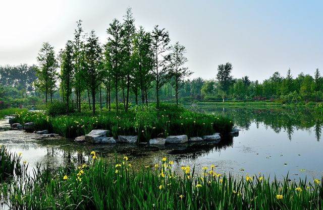 濟南森林公園 | 城市中的自然瑰寶