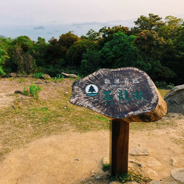 元荃古道石龍拱行山攻略 | 飽覽山海美景🌄