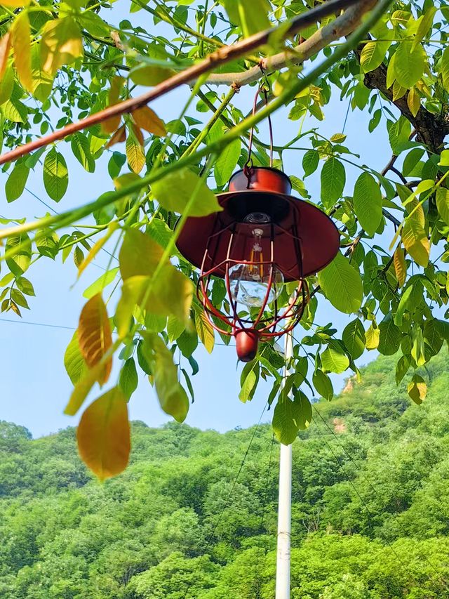 平谷梨樹溝｜暑假帶娃進山，京郊尋野趣納涼