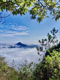 【明月山】22℃雲海瀑布藏進江南詩畫裡