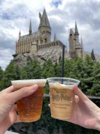 Memorable USJ tour for an ordinary workday