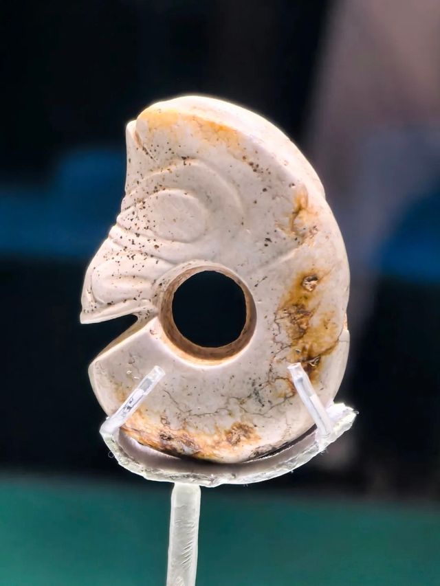 終於等到你！上海博物館紅山玉器展5000年群龍出動
