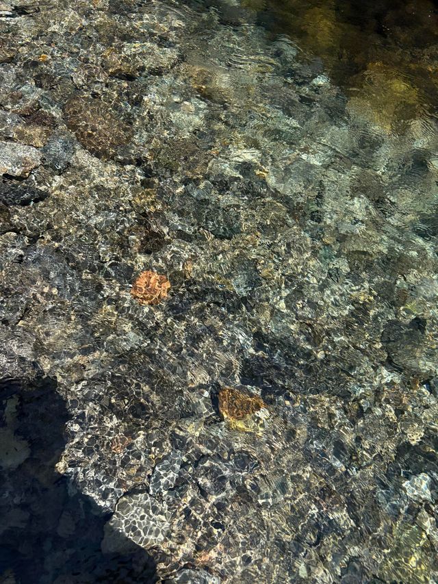 夏日山早村消暑玩水全攻略 | 承包你成個夏天嘅清涼！ 目的地亮點 溫州山早村，藏喺浙南群山