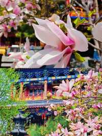 瀋陽故宮｜比北京故宮更「野」？關外秘史大揭秘！