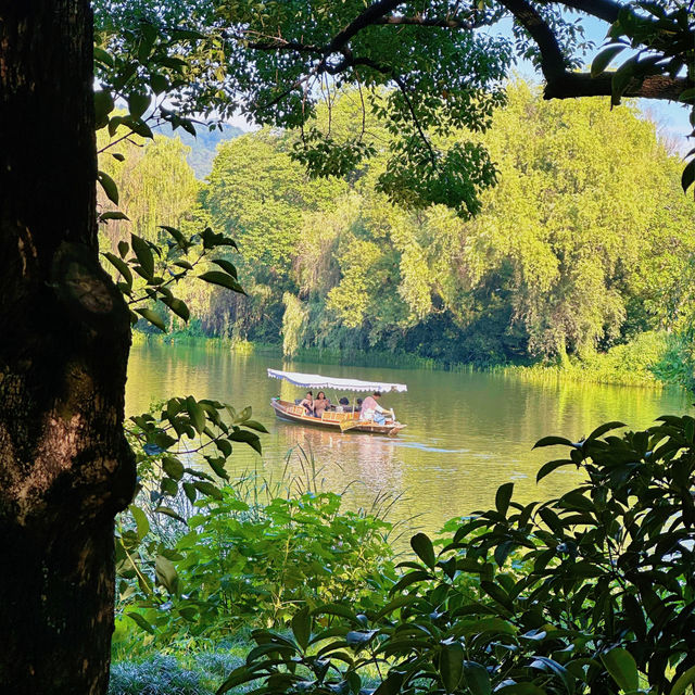 杭州西湖西線避暑一日遊攻略，打卡夏日裏的吸氧秘境