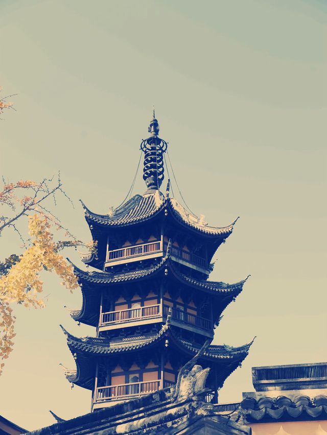 蘇州慈雲禪寺 禅意の旅