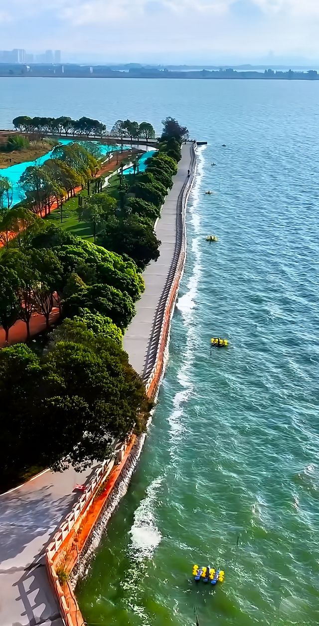 滇池畔嘅美景