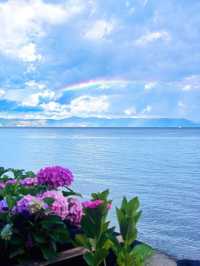 睇勻昆明撫仙湖花海