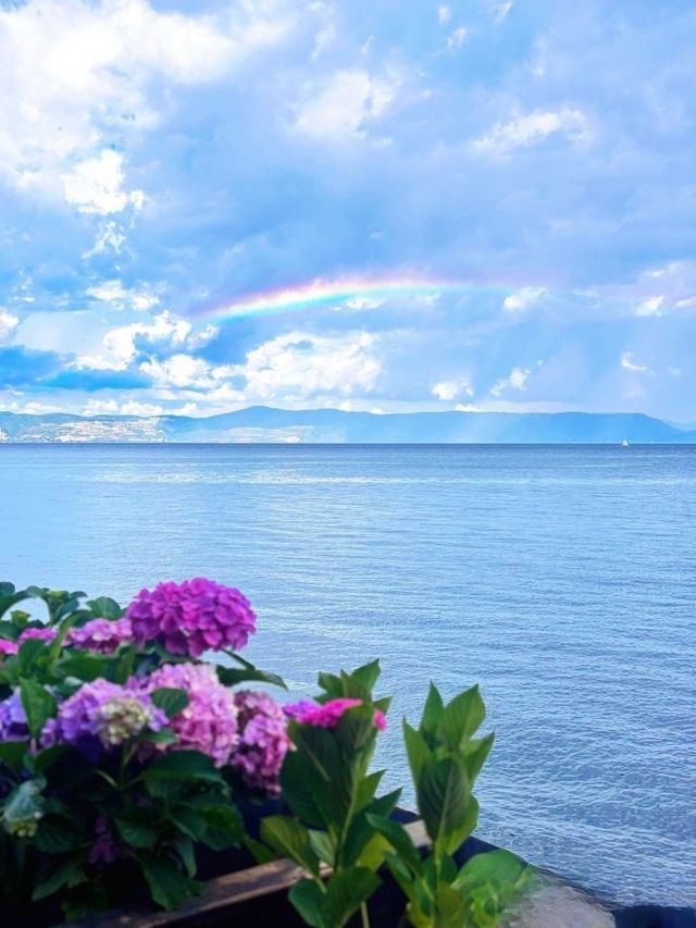 睇勻昆明撫仙湖花海