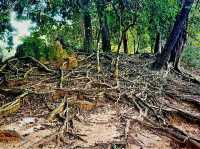 Neak Pean: The Healing Waters of Angkor
