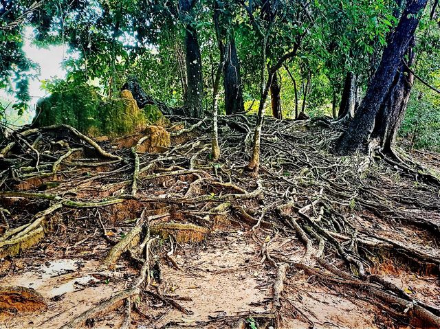 Neak Pean: The Healing Waters of Angkor