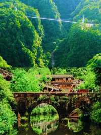 寶貝們快入！超正碧峰峽旅遊攻略嚟啦