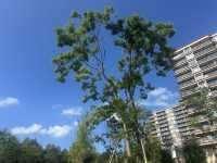 抚仙湖歡墅 | 不僅僅是住宿，而是度假中的「家」。