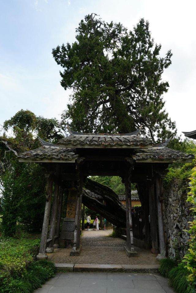 古建迷必到時思寺