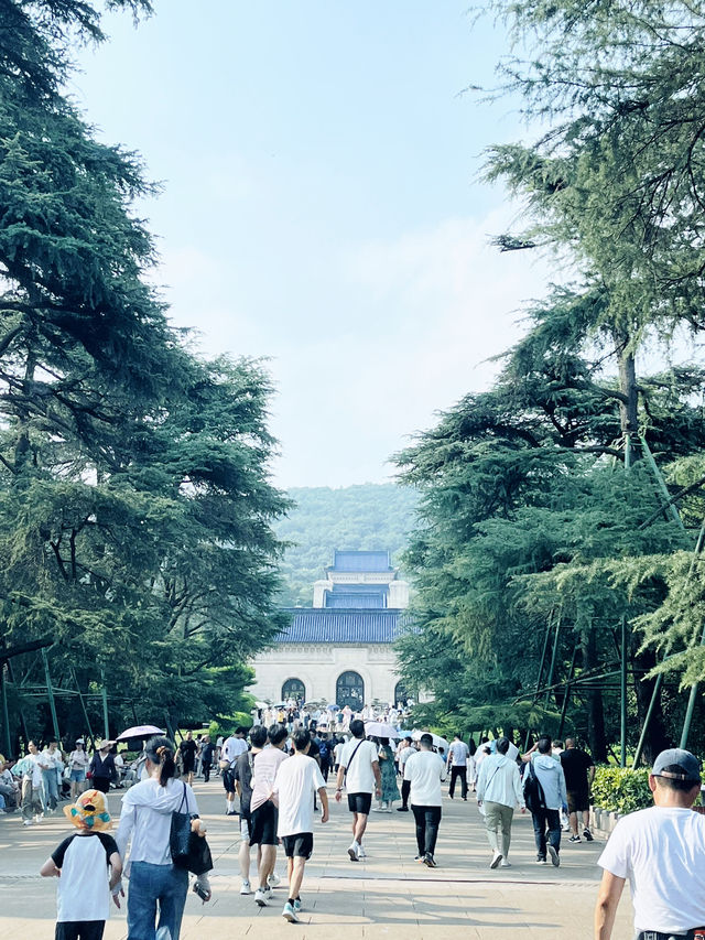 🏞️【南京必遊】省時80%！带爸媽玩中山陵的最輕鬆方案