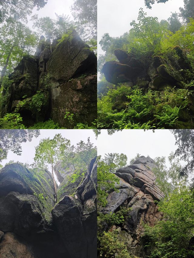 不是奈良！東北藏著21℃避暑遛娃地，3天2晚帶娃闖進森林童話