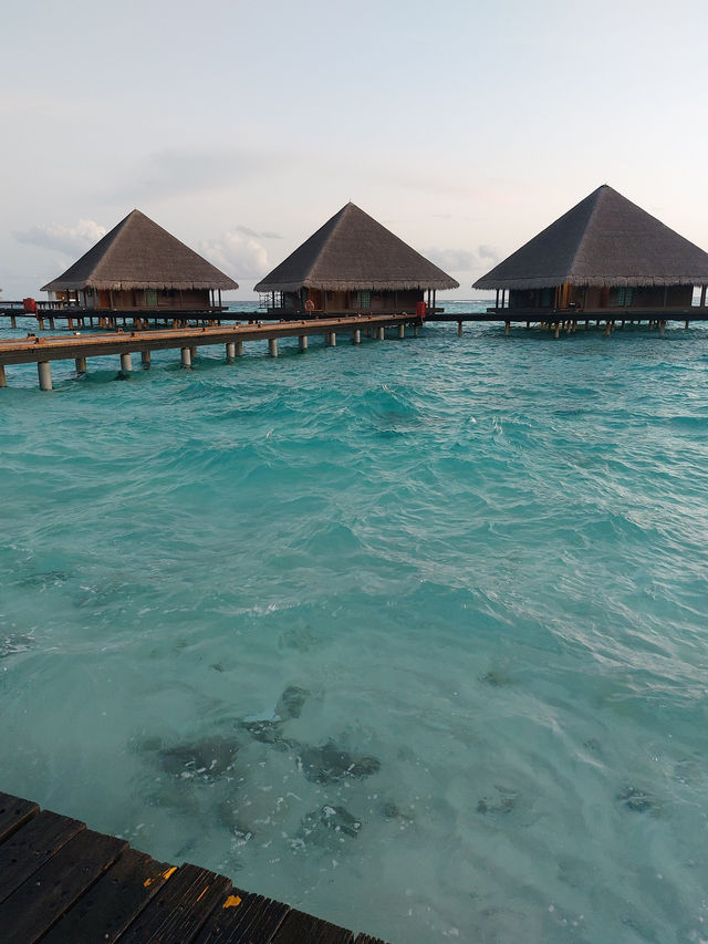 A Memorable Stay at a Resort
