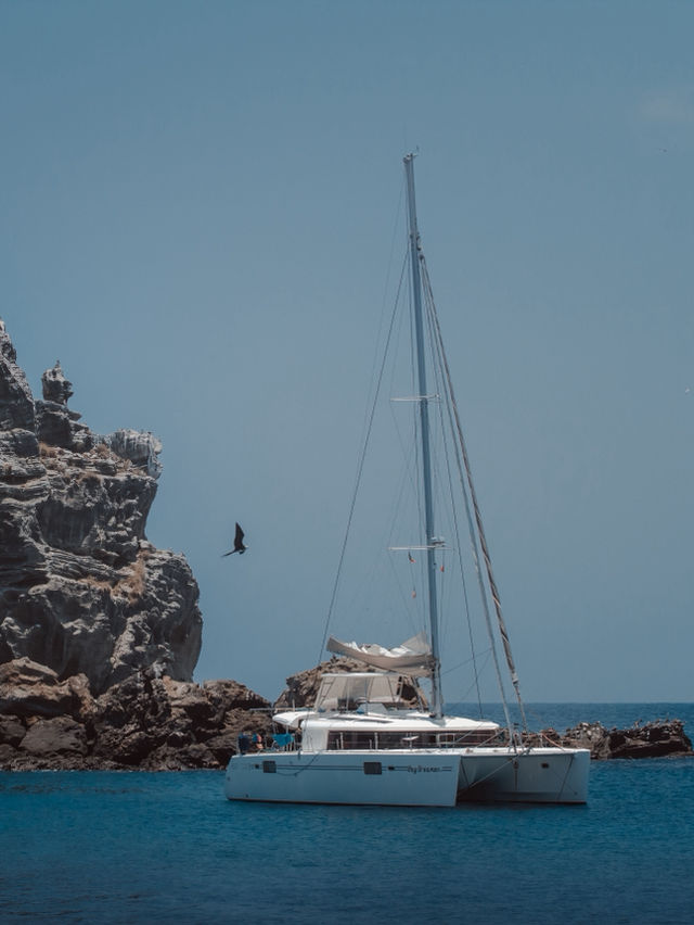 Mexican Galapagos. Isla Isabela
