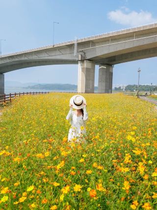 Romantisme Emas Seoul | Taman Warga Sungai Han Namyangju, Tanah Tiga Sisi yang Memukau, Sungguh Indah