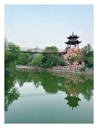 漯河神州鳥園秋季夜遊:暢遊鳥類王國，體驗夜間奇幻之旅！