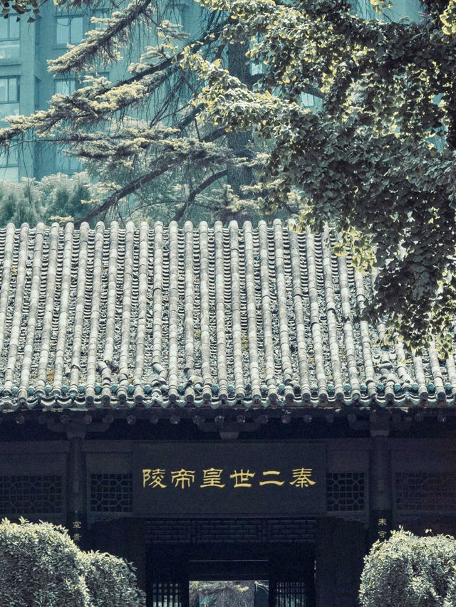 塵封帝影——曲江秦二世陵遺址公園的時空回望 塵封帝影——曲江秦二世陵遺址公園的時空回望