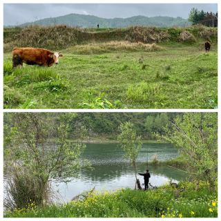 🎣資江垂釣記：青山碧水間，坐等魚兒上鉤的慢時光攻略