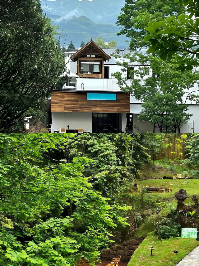 青城山周圍密林中的漫畫小屋