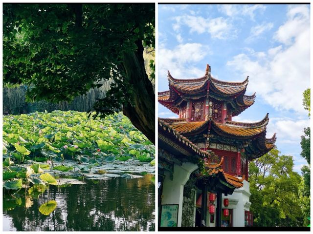 翠湖公園已回真不建議10月去，因為真的太香了