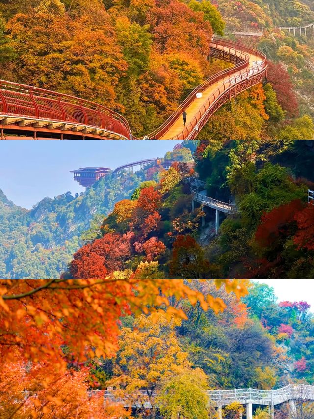 1.5h溜出西安直達少華山看漫山紅遍