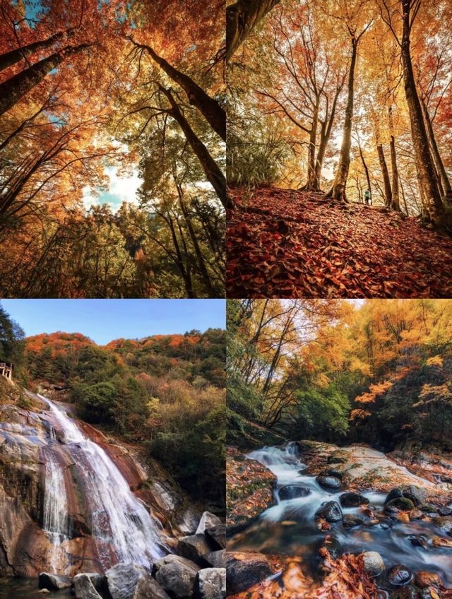 光霧山紅葉瘋了！這680平方公里的秋景美到爆