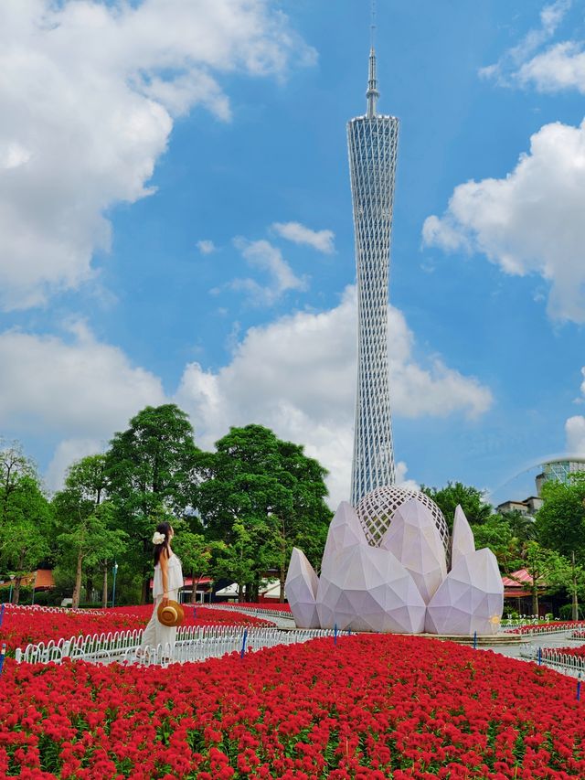 廣州塔向日葵花海太美啦附一日遊路線 廣州塔向日葵花海太美啦附一日遊路線