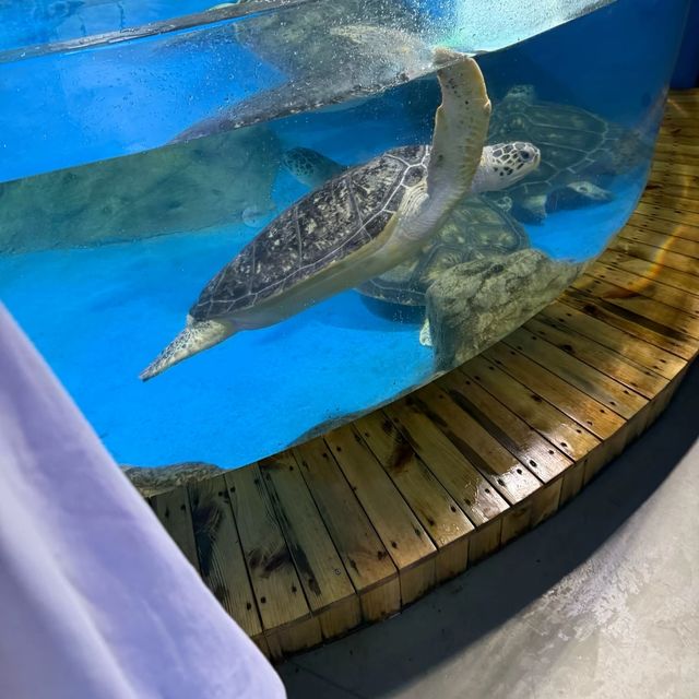 邢台3天2晚旅遊攻略