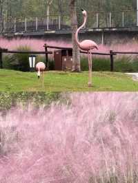 打卡宜昌沙河，邂逅公園與自然的浪漫