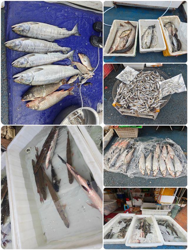 撫遠漫步，感受東極魅力