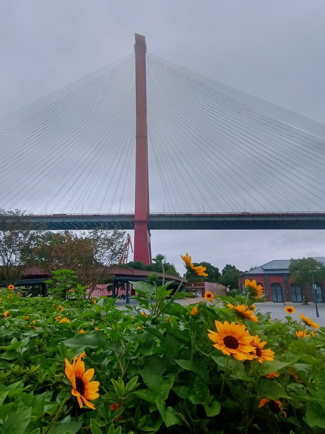 東岸濱江·從這裡開始｜楊浦大橋濱江綠地