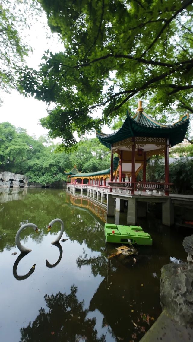 歡迎來鵝嶺公園遊玩打卡