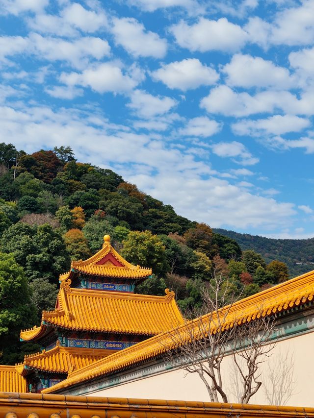 自駕玩轉大洪山秋色