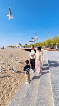 烏魯木齊出發|博斯騰湖環湖路線攻略