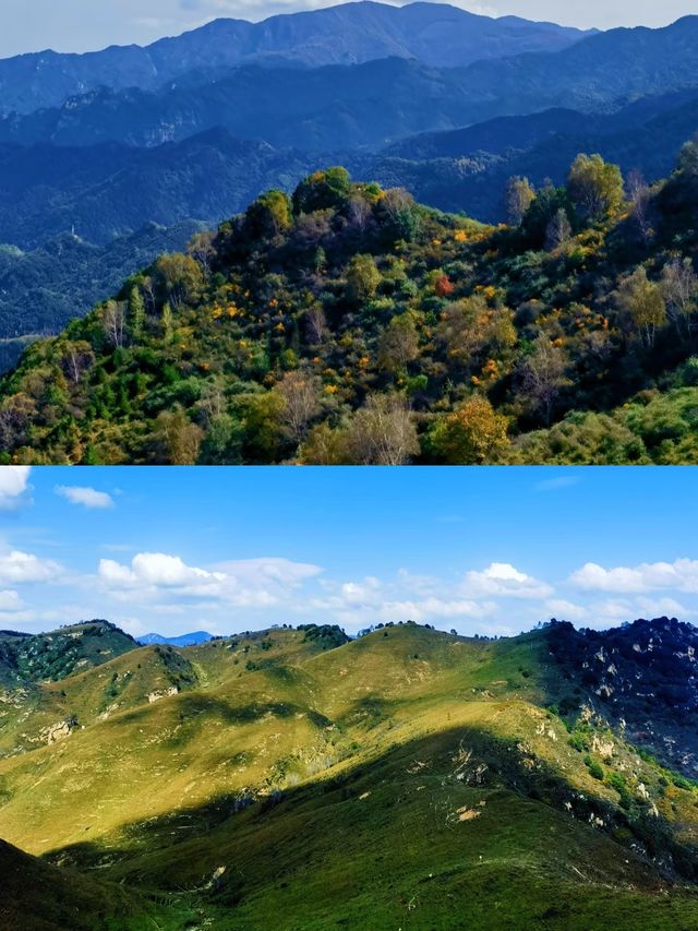 河北阜平！解鎖深秋「隱藏副本」，太行深處的彩林童話
